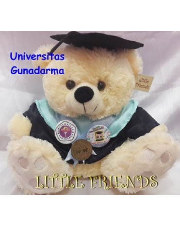 Boneka Wisuda Universitas Gunadarma - Teknik (30 cm)